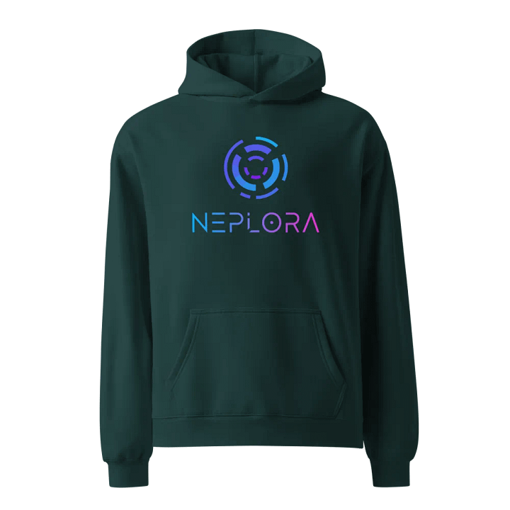 Neplora Comfort Unisex Premium Hoodie product image (1)