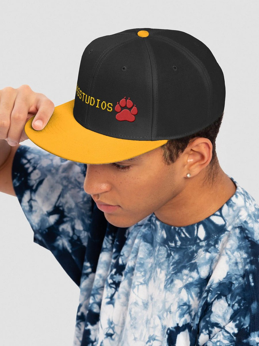 NasStudios Snapback Cap product image (7)