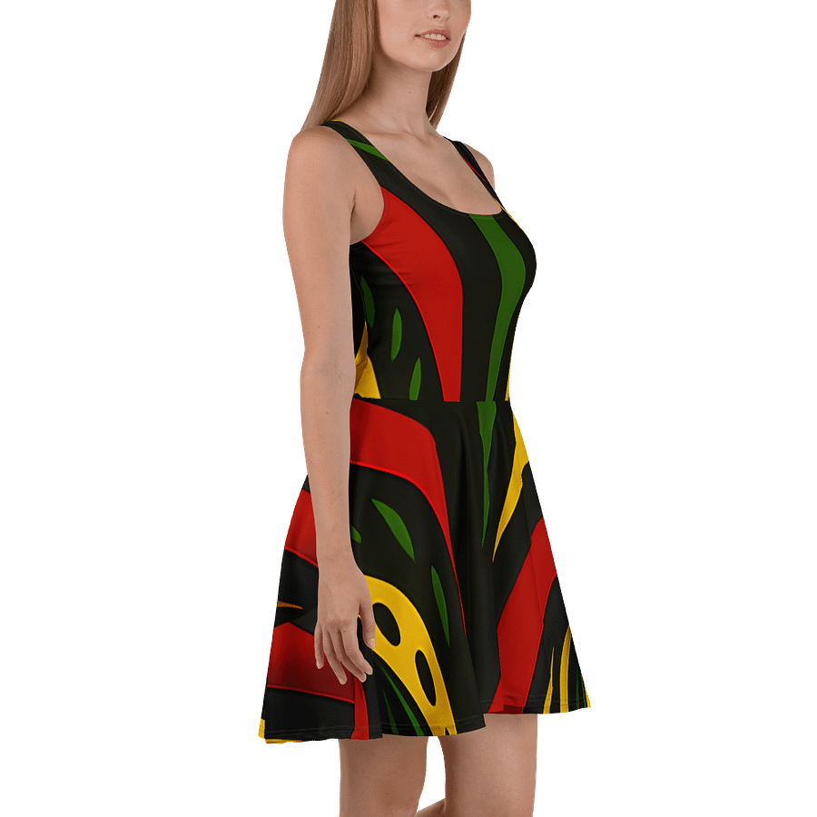 Rasta Spirit Geometric Skater Dress product image (3)
