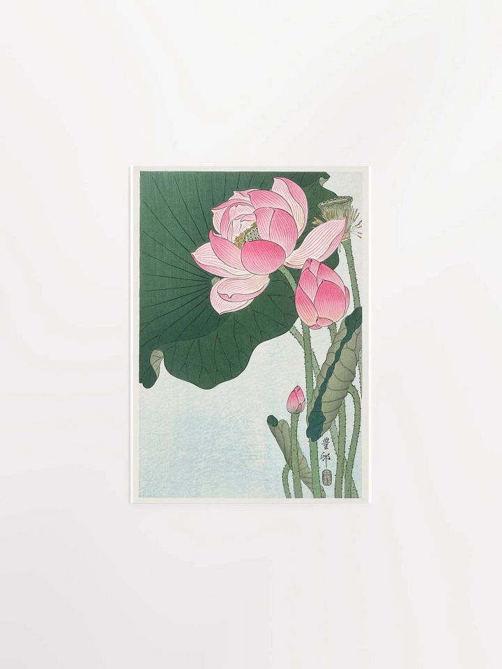Blooming Lotus Flowers by Ohara Koson product image (1)
