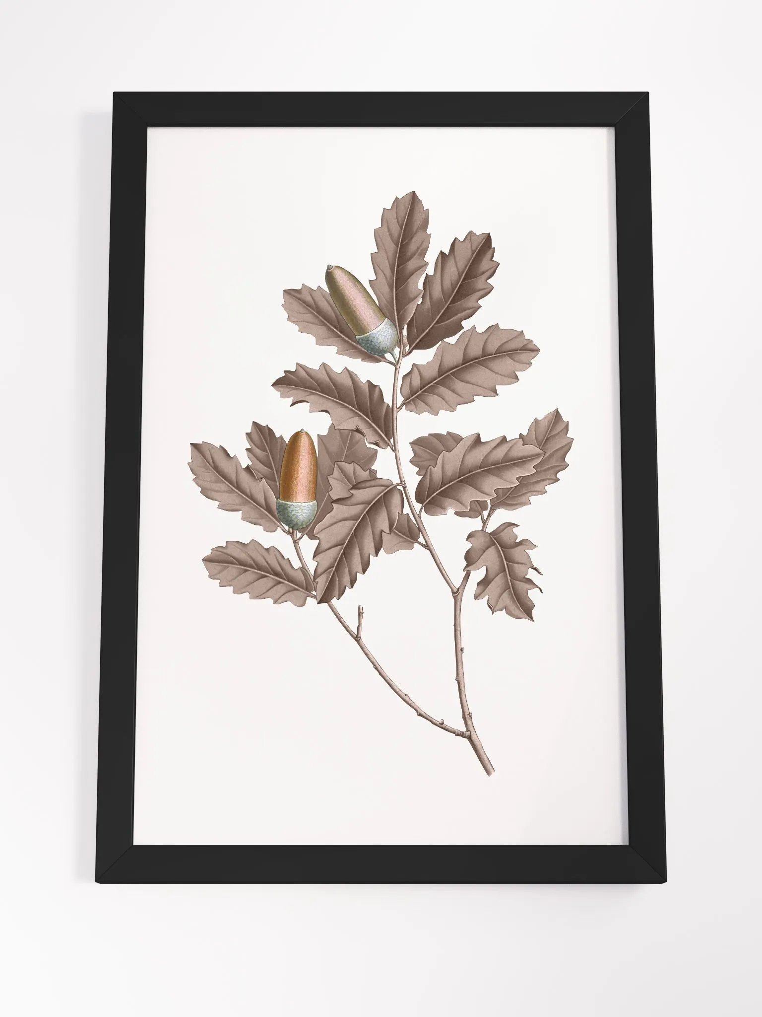 Ecotone Oak Leaves and Acorns Framed Print product image (4)