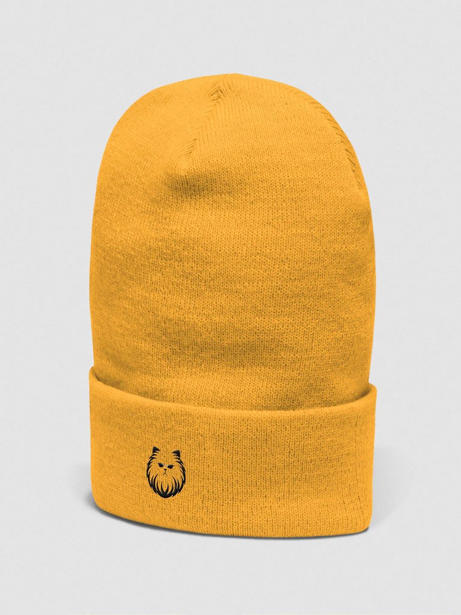 Yupoong Cuffed Beanie: Persian product image (3)
