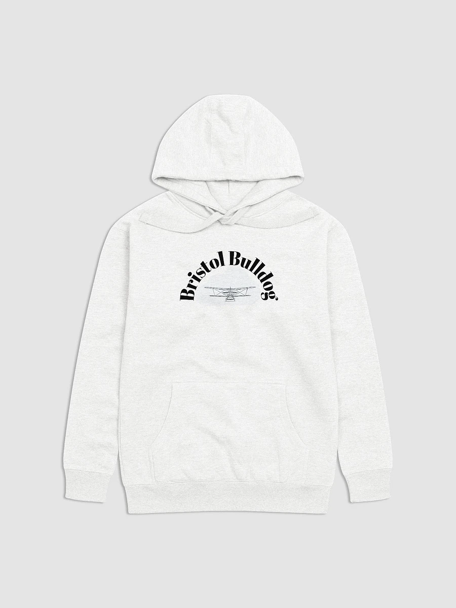 Sky Soarer Biplane Hoodie product image (1)