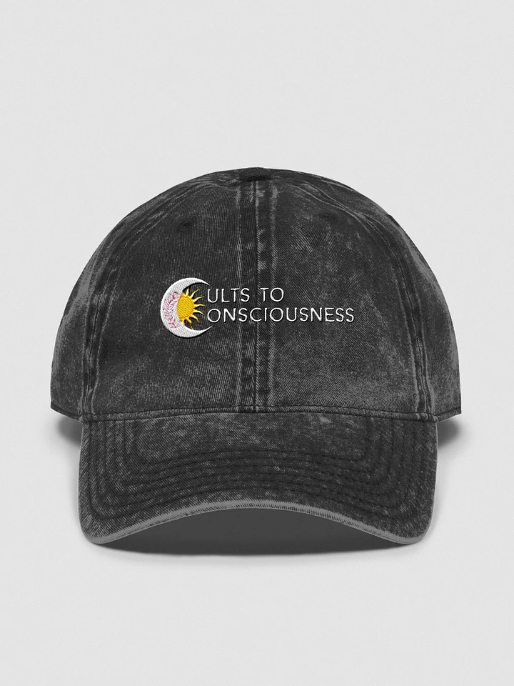 Cults to Consciousness product image (1)