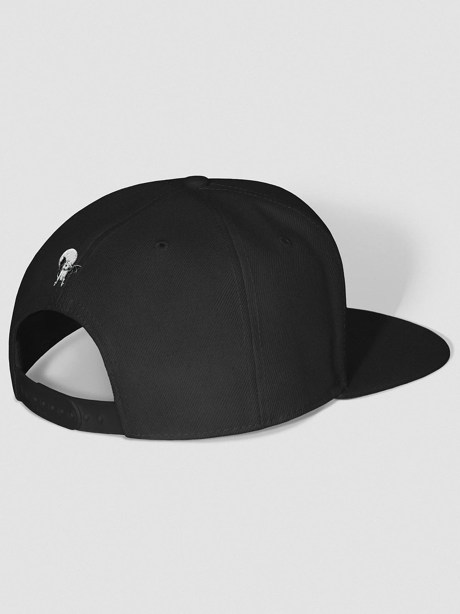 Snapback Hat (Crow Emblem) product image (3)