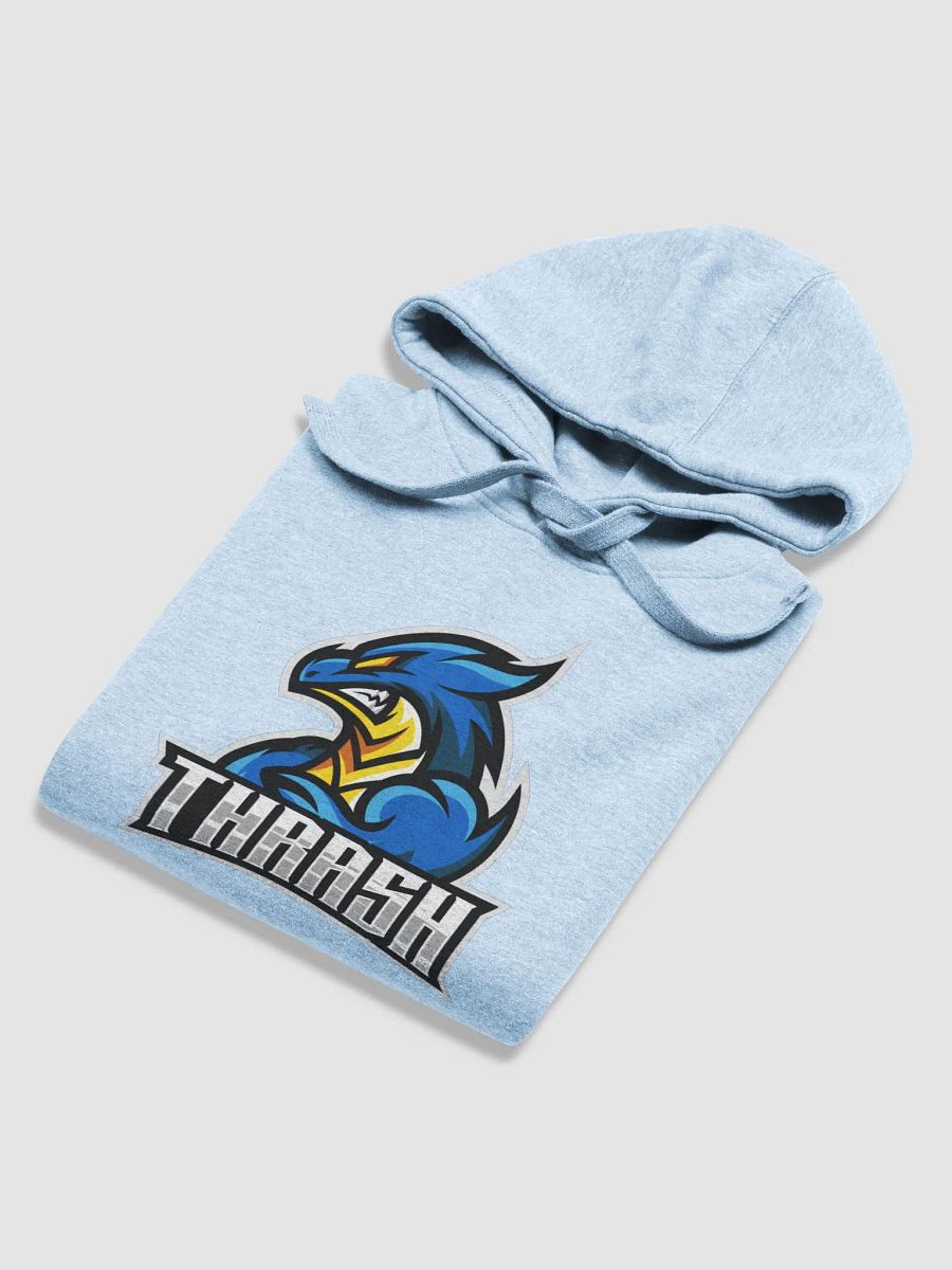 THRASH Logo Hoodie product image (5)