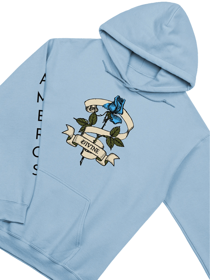 The Divine Hoodie product image (4)