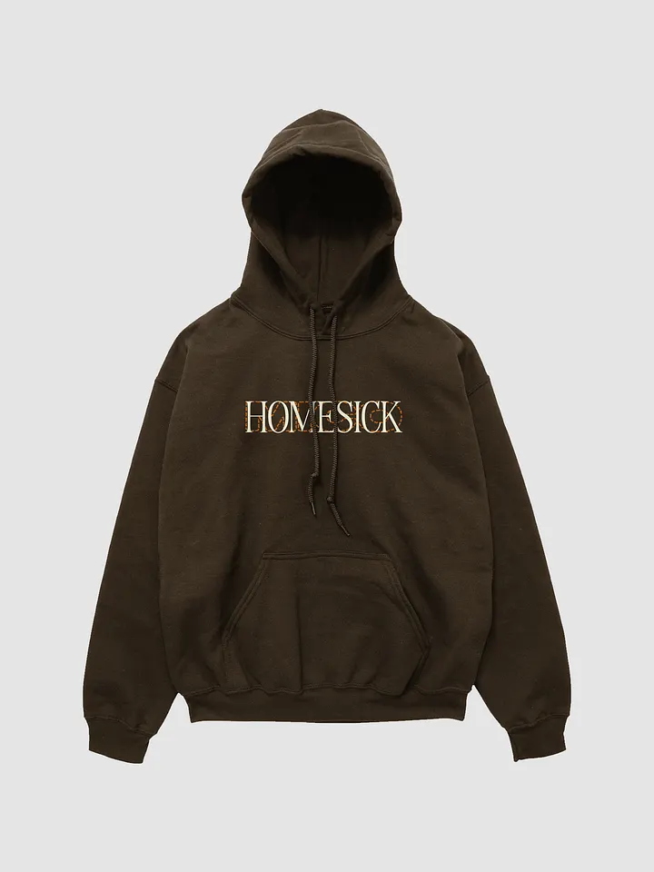 'HOMESICK' hoodie product image (1)