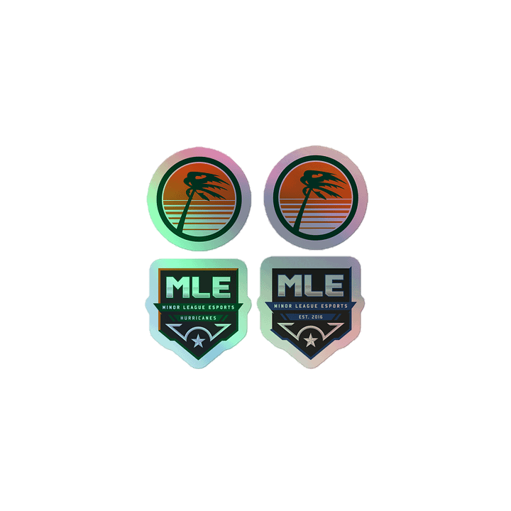Hurricanes Holographic Sticker Set product image (1)