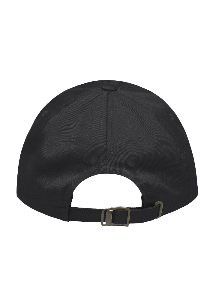 Introvert Apparel Embroidered Hat product image (2)