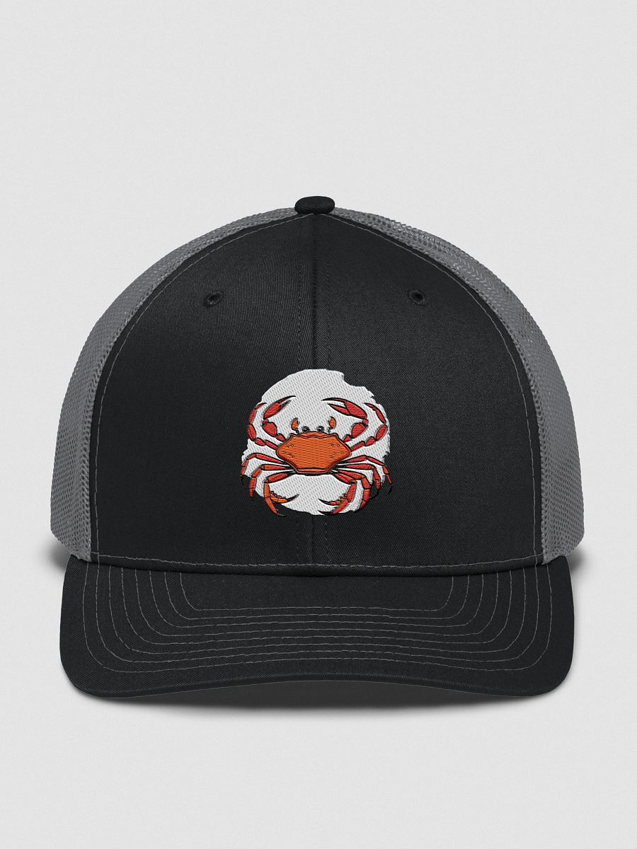 Crabby Snapback Hat product image (3)