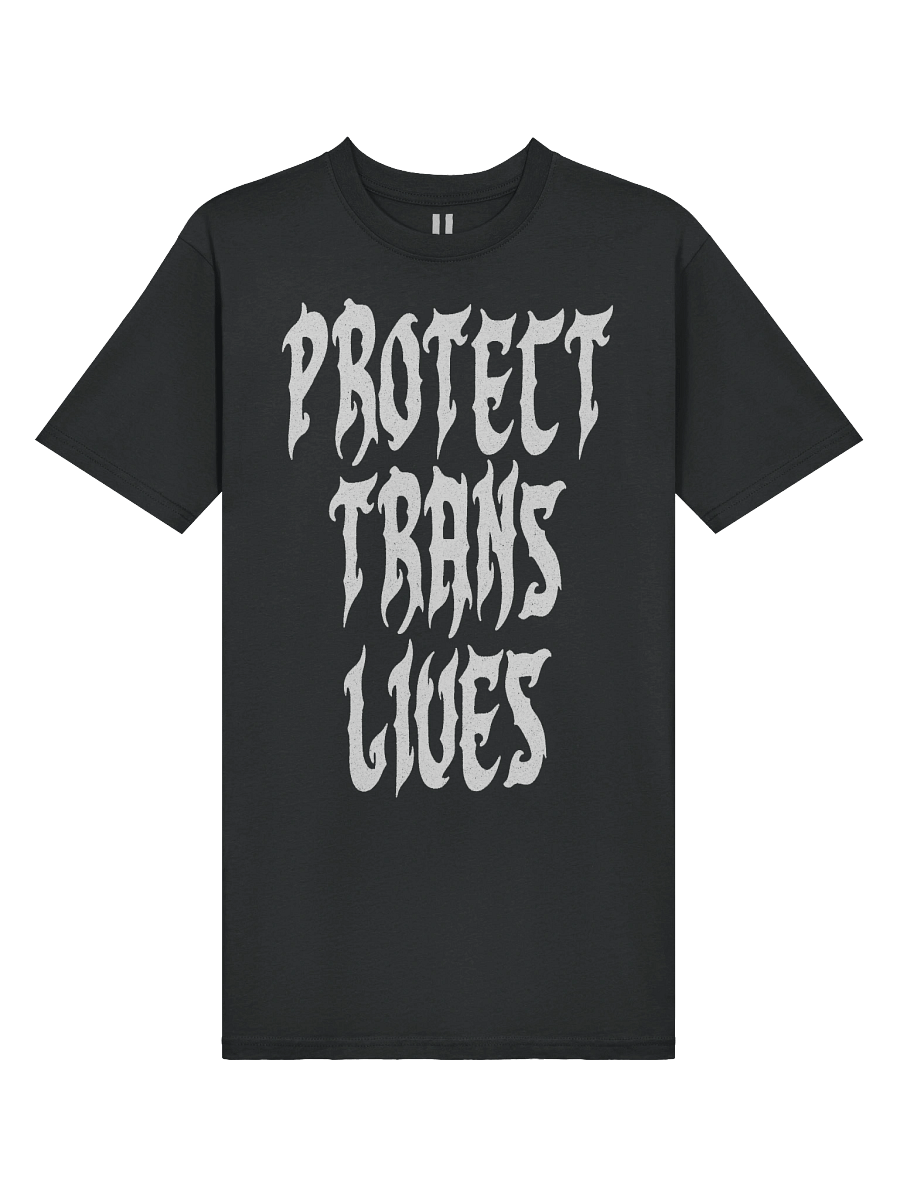 Protect Trans Lives Tee product image (4)