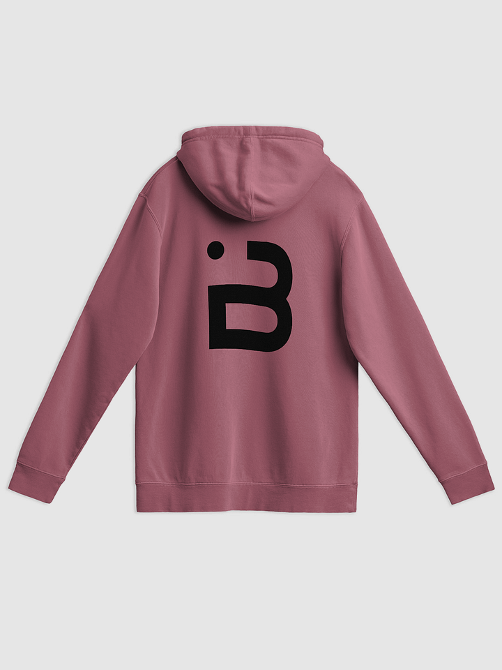 BUIII Originals Logo Black Premium Vintage Hoodie product image (13)