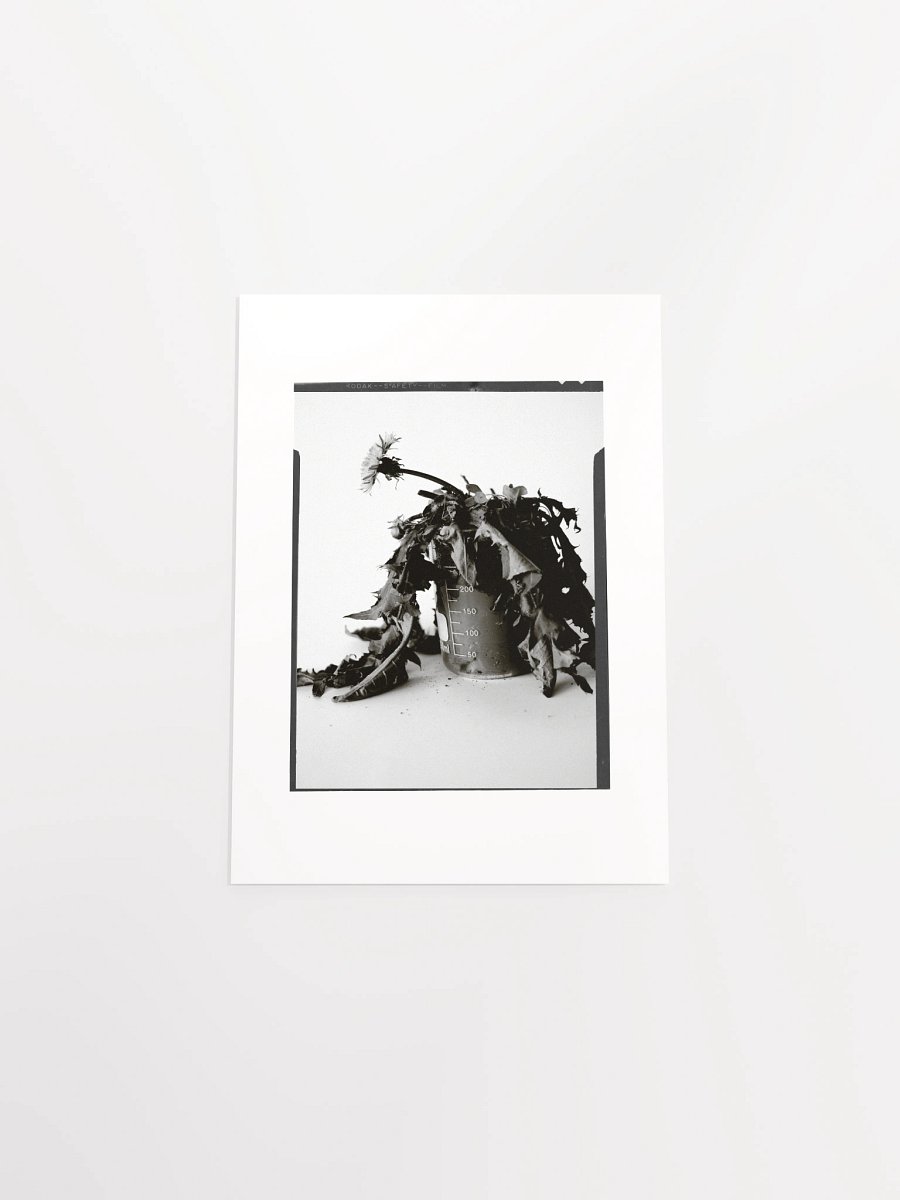 James C'Avedon Print • "Mud Portrait #1" product image (32)