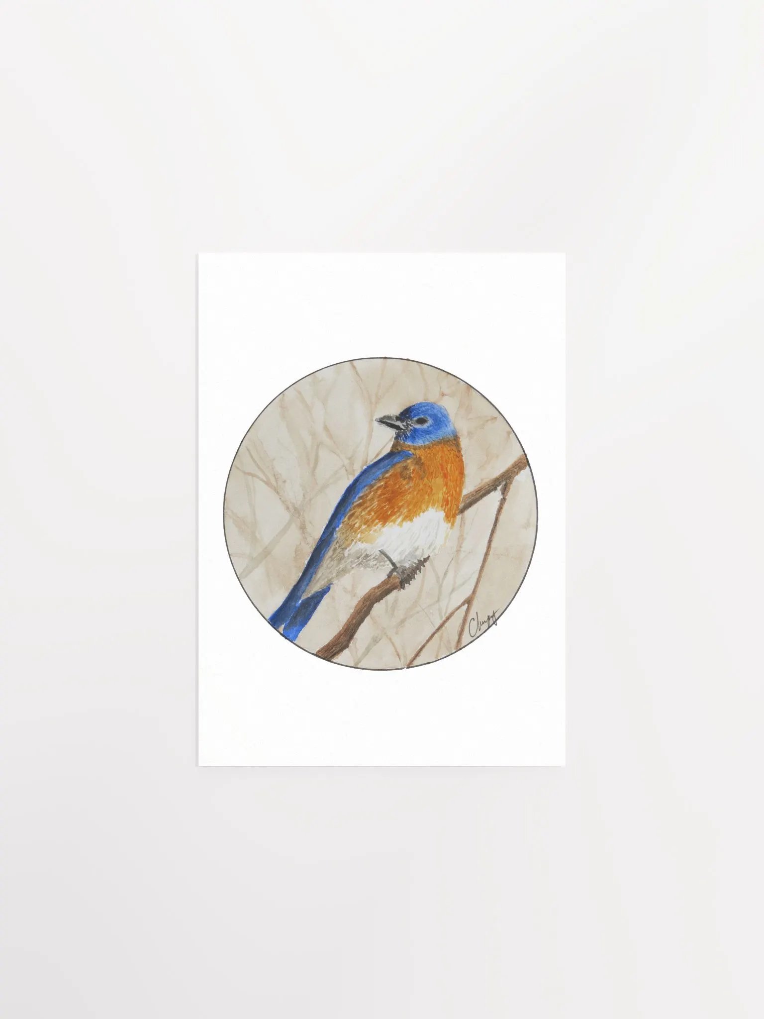 Eastern Bluebird print product image (1)