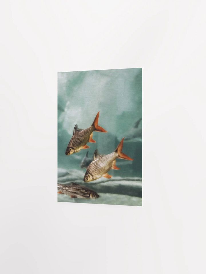 Aquatic Harmony Matte Poster product image (26)