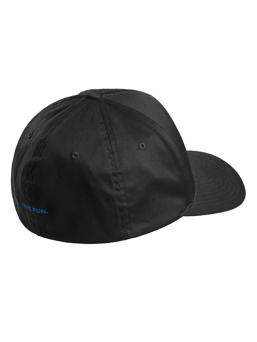 Have Fun Fitted Hat product image (3)