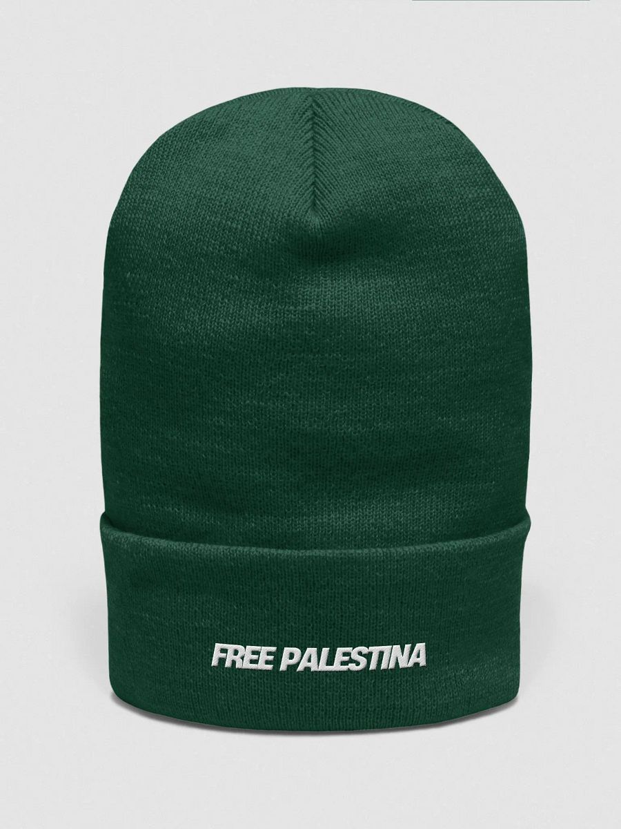 Abstract Minimalist Beanie FREE PALESTINA product image (2)