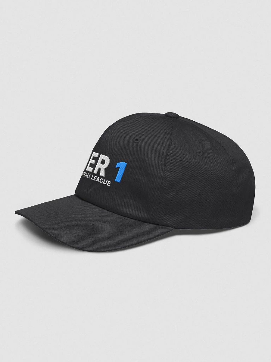 TIER 1 - DAD HAT product image (6)