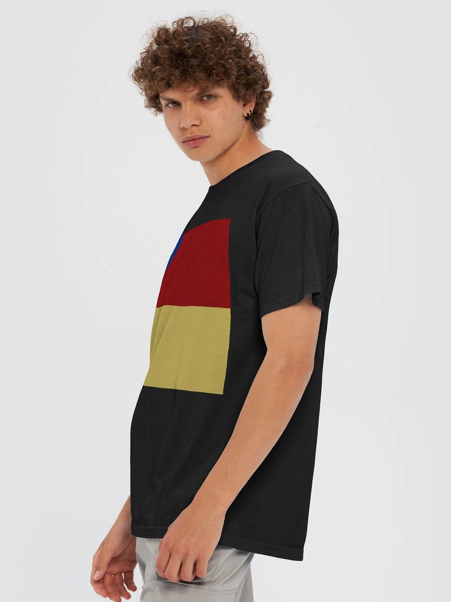The Style: Heavyweight Cotton T-Shirt product image (6)