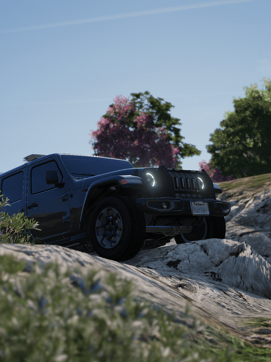 2020 Canis Terminus product image (3)