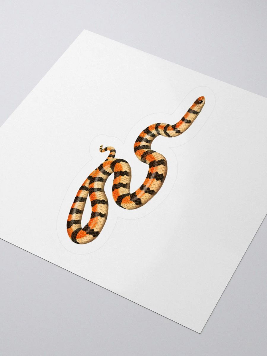 Die-Cut Sticker – Western Groundsnake (Banded) product image (3)