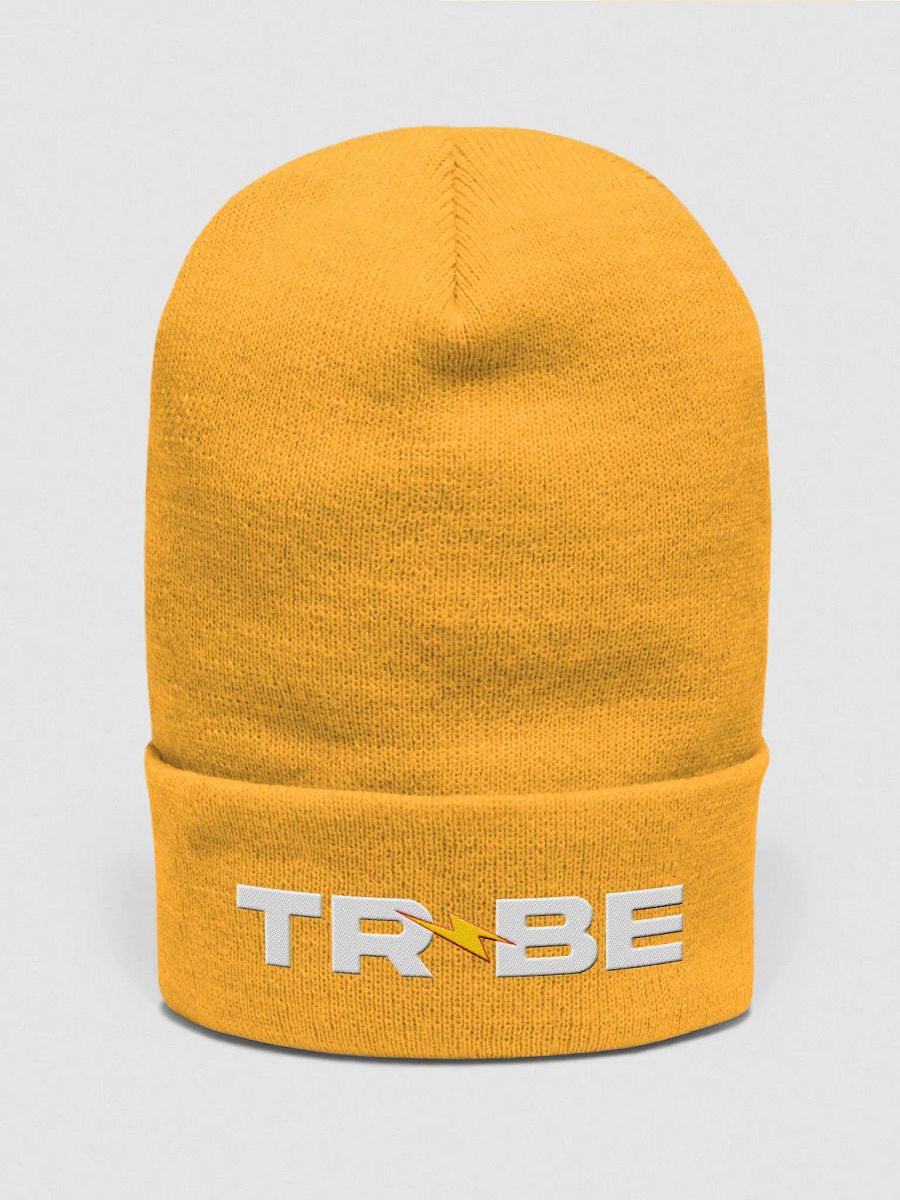 State of Shock Beanie product image (1)