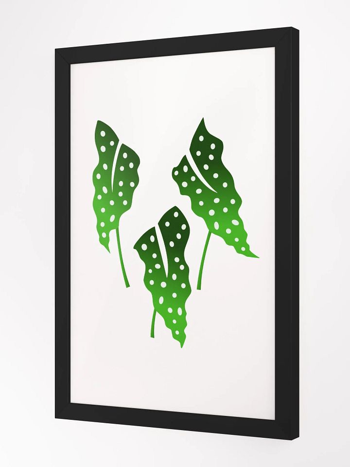 Polka Dotb Begonia Leaves product image (4)
