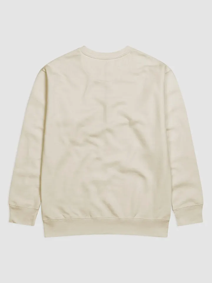 Outsmart, Outpace, Outshine Inspirational Sweatshirt product image (16)