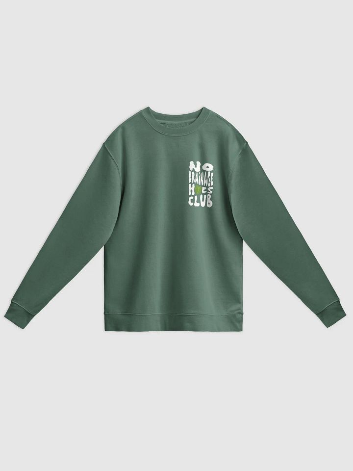No Drainage Hoes Unisex Midweight Pigment Dyed Crewneck (multiple colours) product image (2)