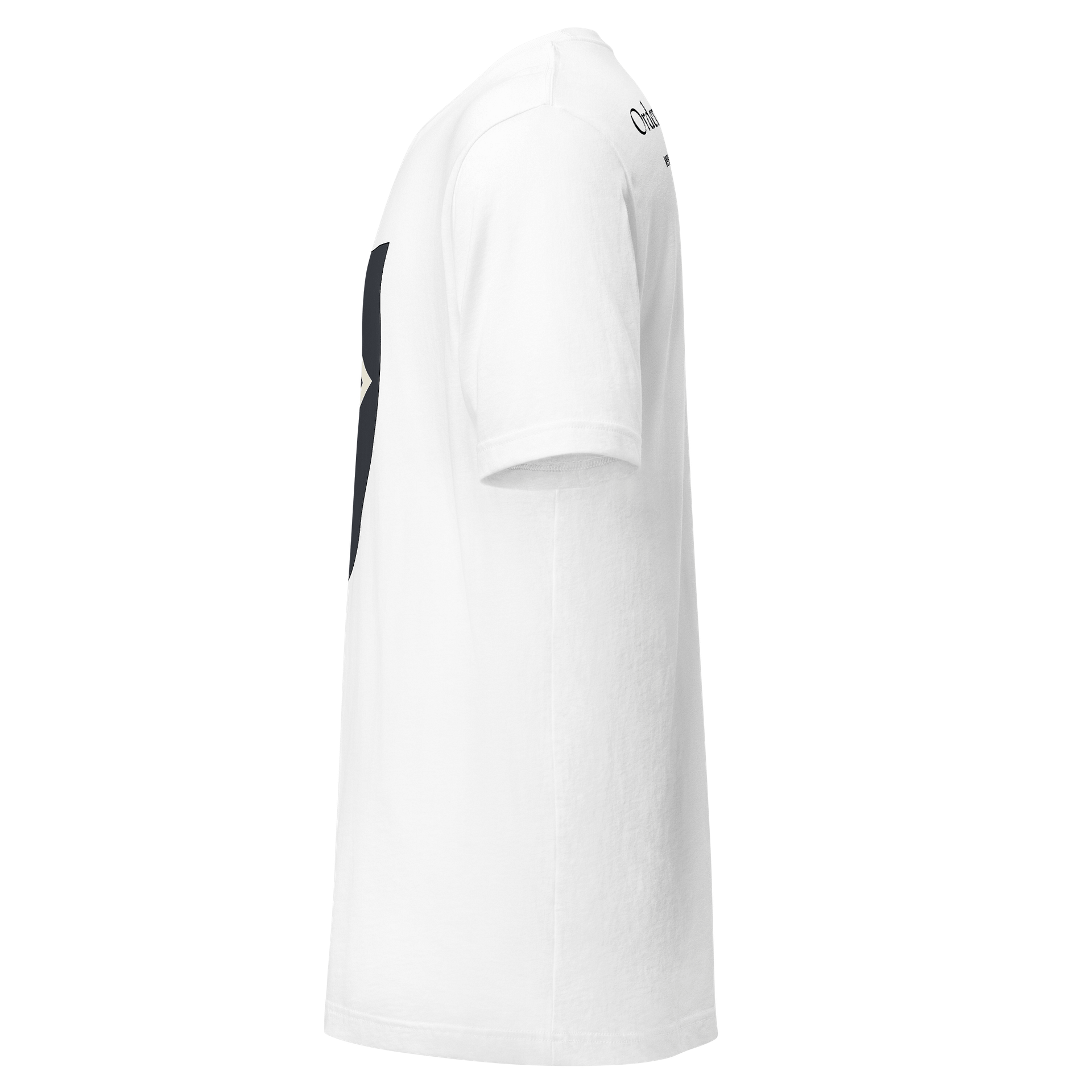 Order of the Silver Suns Adult Tee Shirt product image (2)