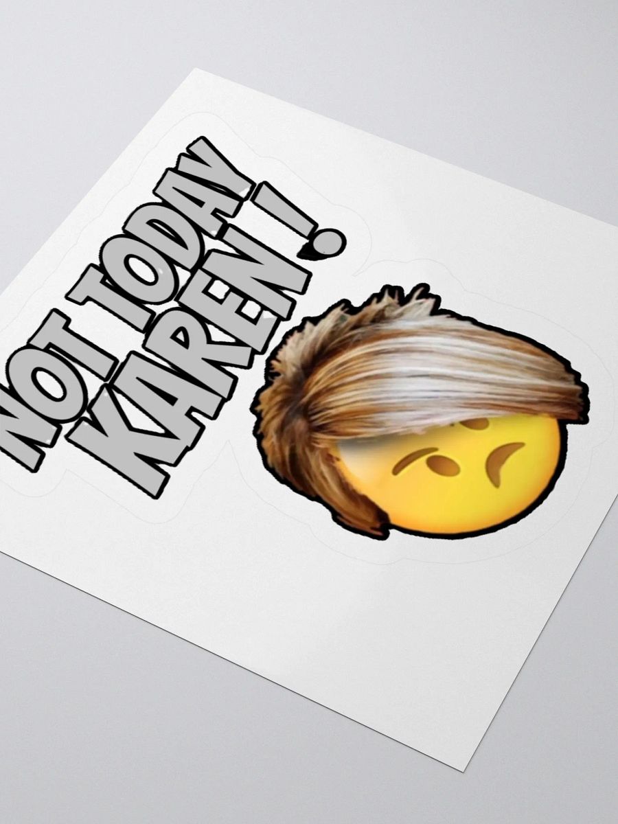 NOT TODAY KAREN! product image (8)