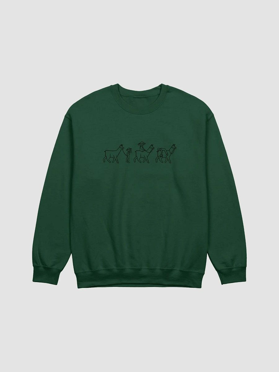 Wandering Lama Sweater product image (2)