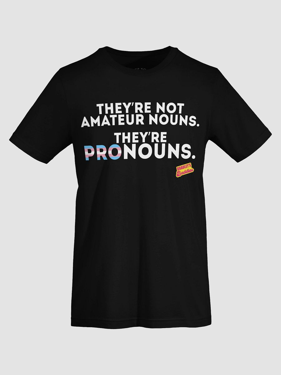 Pronouns Trans Tee product image (46)