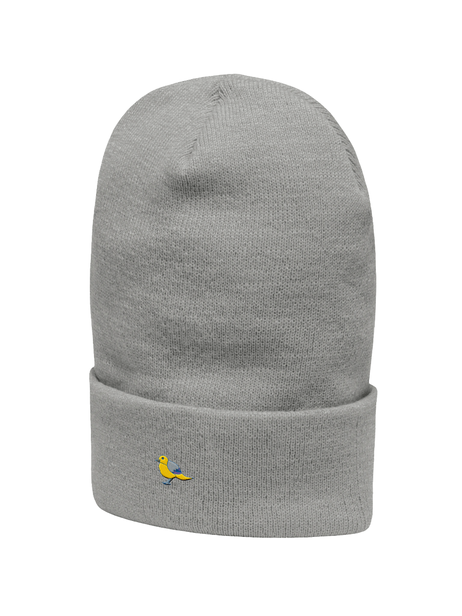 Whimsical Bird Cartoon Beanie product image (20)