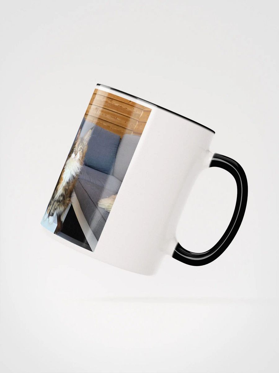 4 Generations - Mug With Color product image (4)