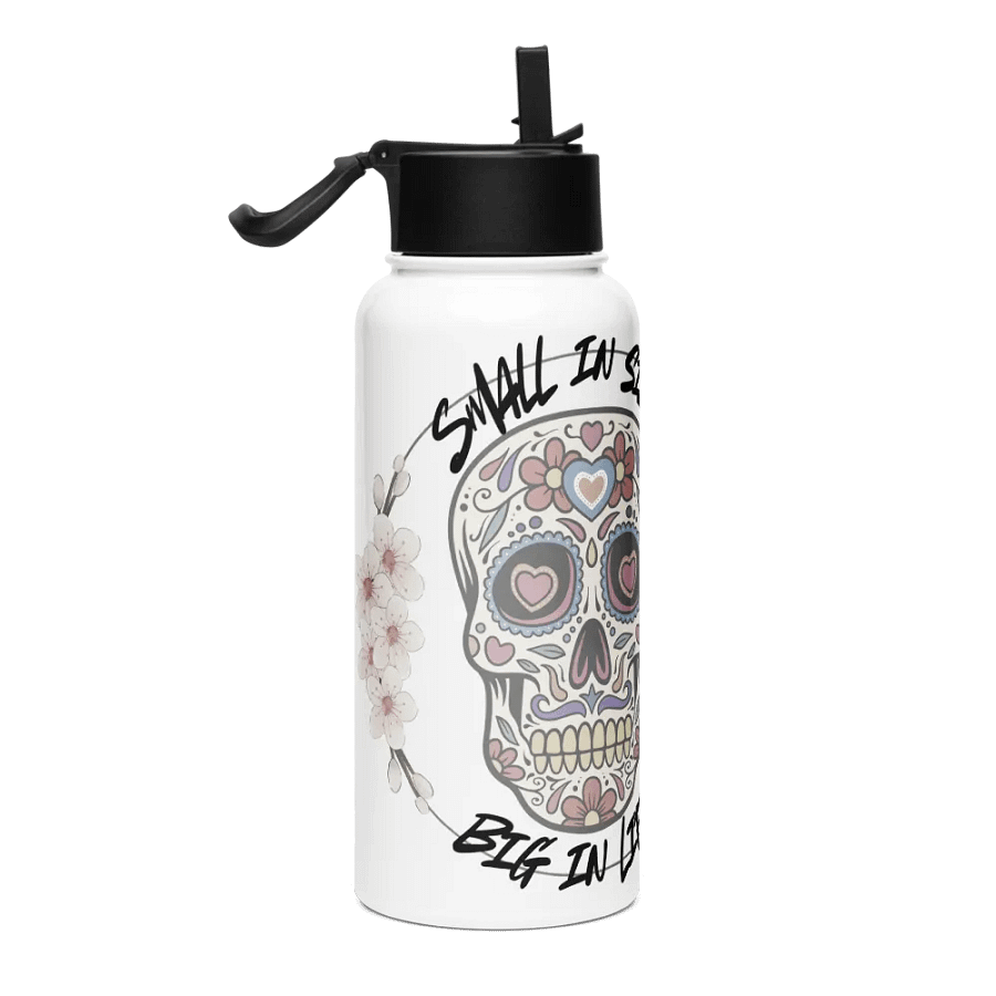 Stainless Steel Water Bottle with a Straw Lid product image (4)