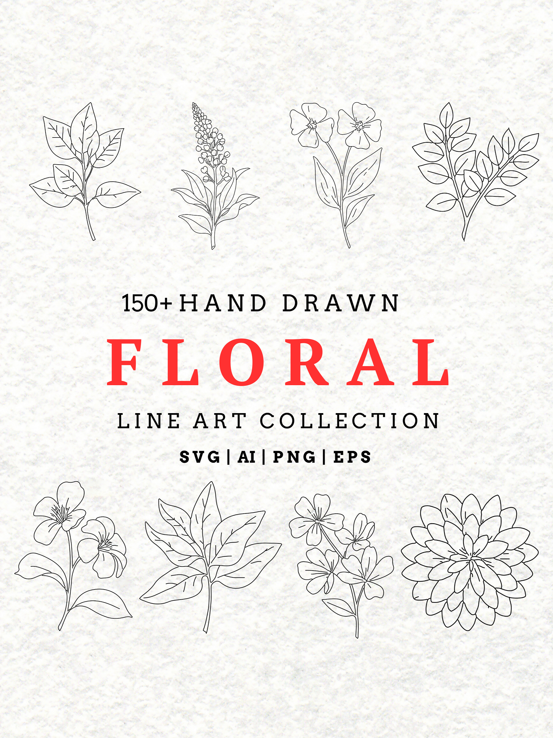 Botanical SVG Bundle: Hand-Drawn Floral Clipart & Leaf Doodles product image (1)