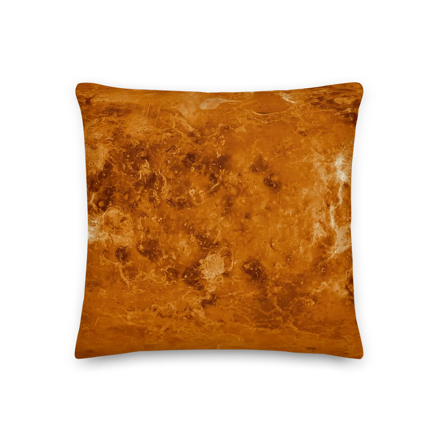 Venus Pillow! product image (3)
