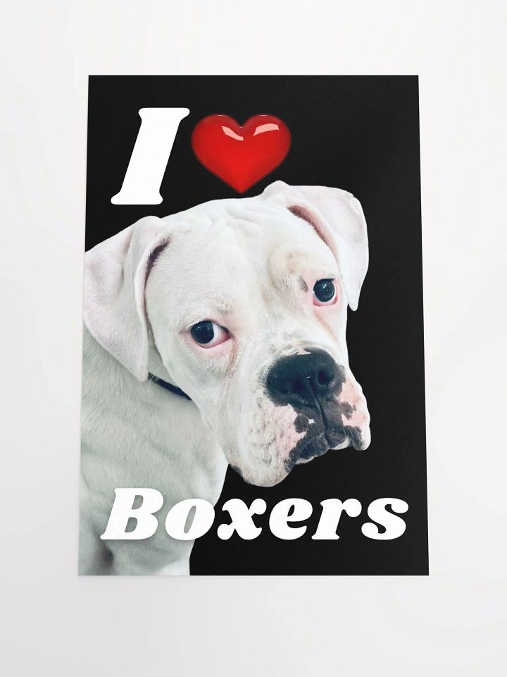I Heart Boxers Poster product image (1)