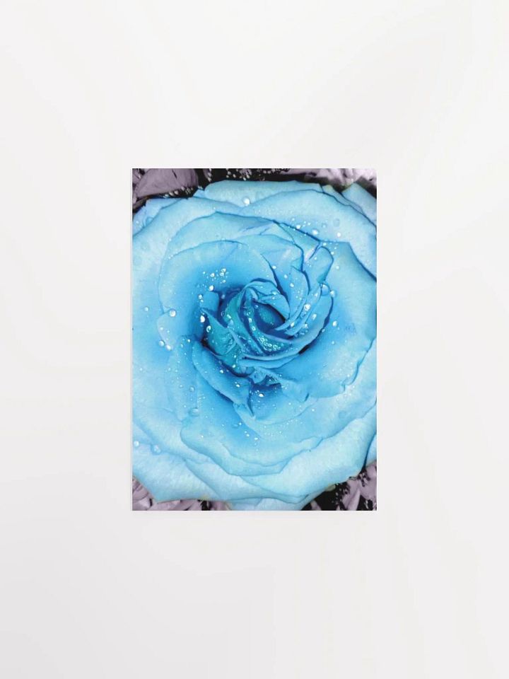 Blue Rose product image (3)