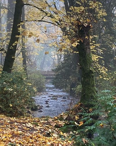 Had a nice walk this morning