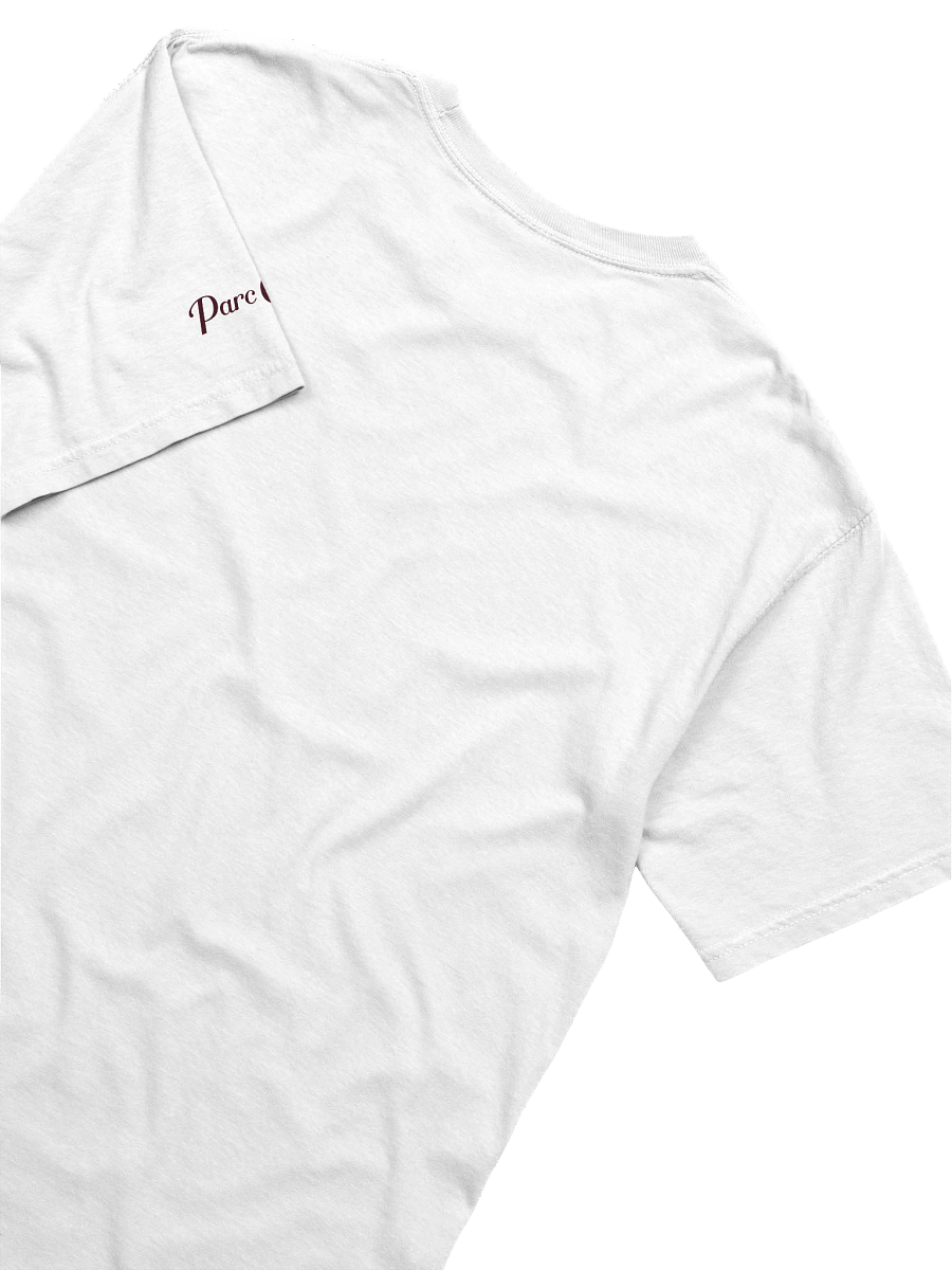 Dig Deep Tee Shirt by Parc Carreg product image (26)