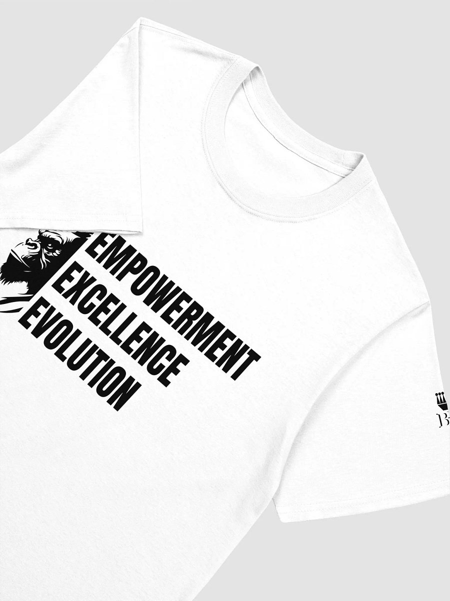 Empowerment. Excellence. Evolution. Relaxed T-shirt product image (3)