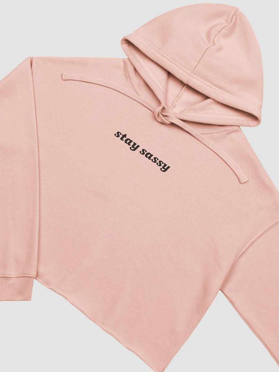 Peach Pink Cropped Hoodie