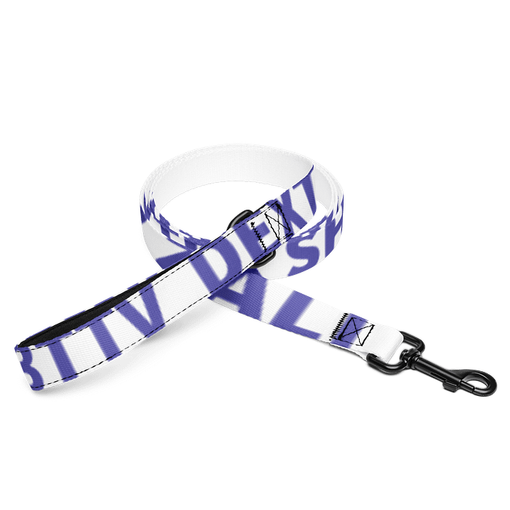 Pet Leash product image (1)