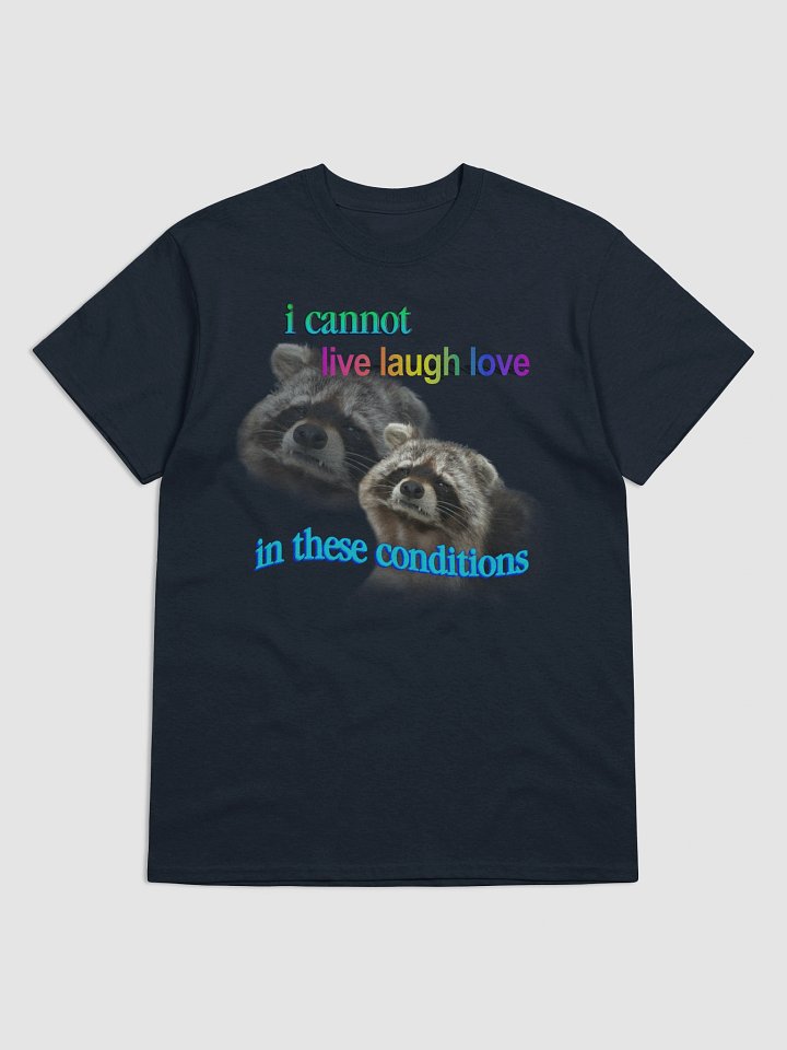 I cannot live laugh love in these conditions - raccoon T-shirt product image (97)