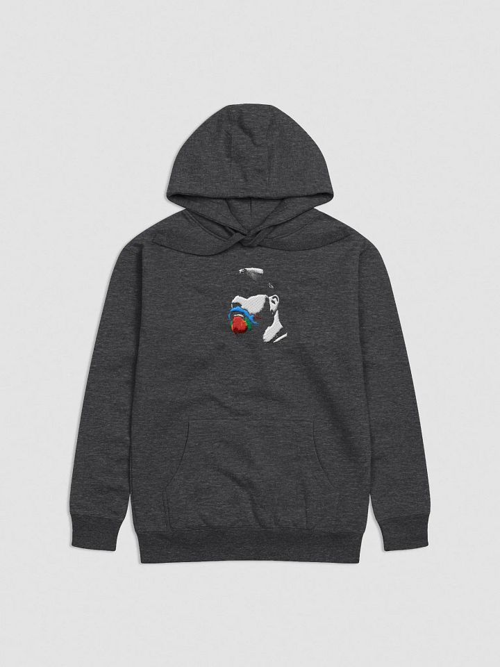 RainbowBeard Large Embroidered OG Logo Hoodie product image (2)