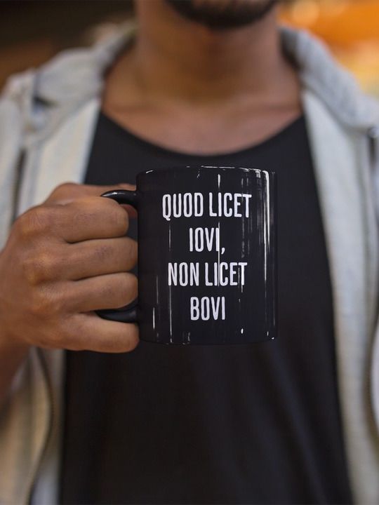 Quod Licet Iovi, Non Licet Bovi Mug product image (3)