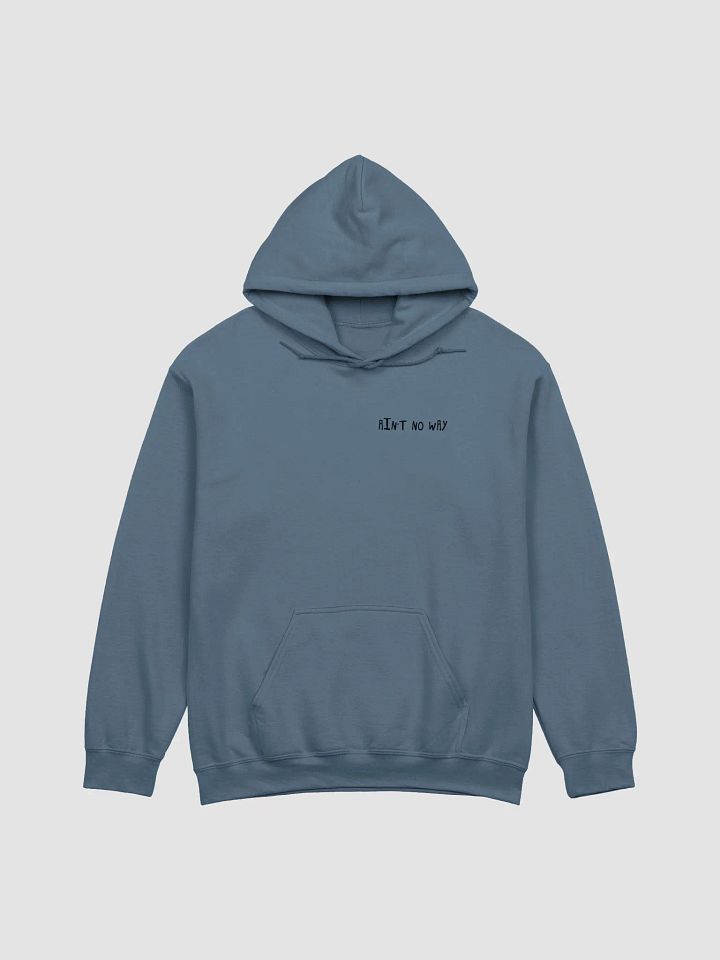Ain't No Way Hoodie product image (1)